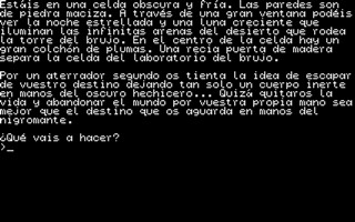 Dona Elisa ATARI ST (320 x 200).jpg